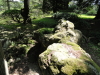 img0054.jpg