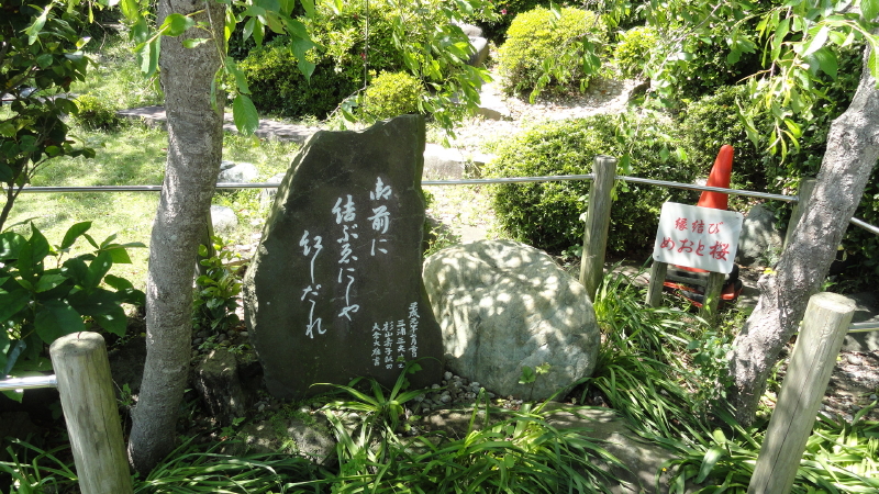 img0015.jpg