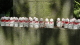 img0027.jpg