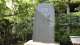 img0029.jpg