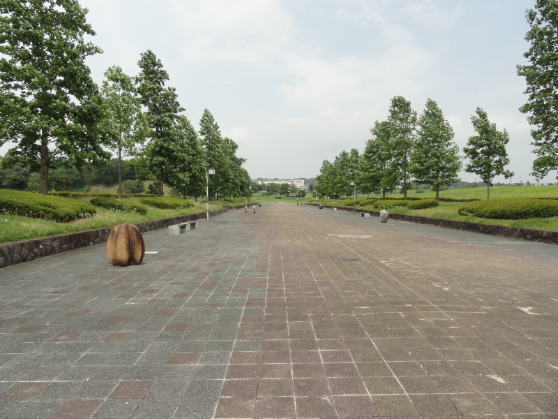 img0040.jpg