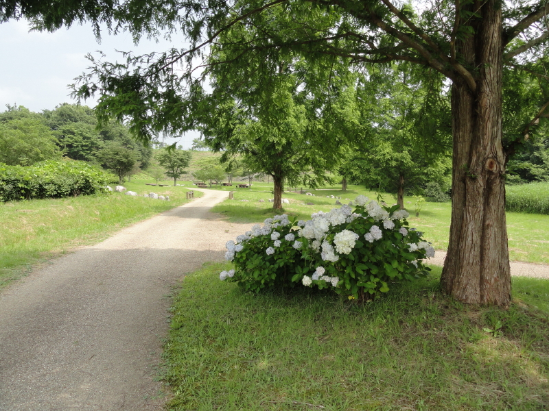 img0052.jpg