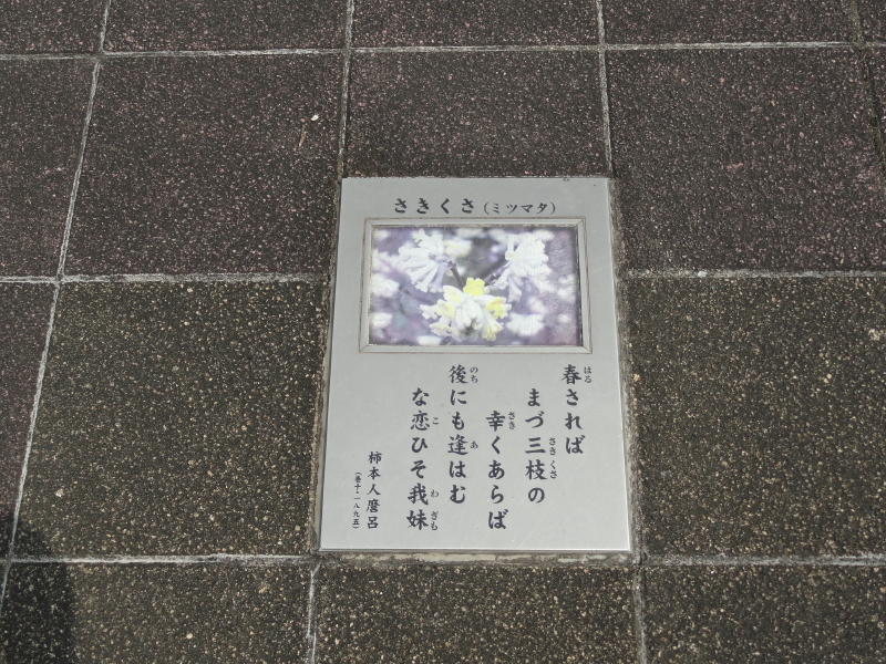 img0067.jpg