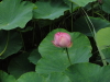 img0024.jpg