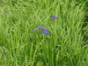 img0027.jpg