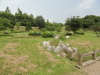 img0053.jpg