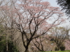 img0002.jpg