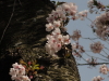 img0008.jpg