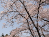 img0015.jpg