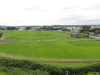 img0007.jpg