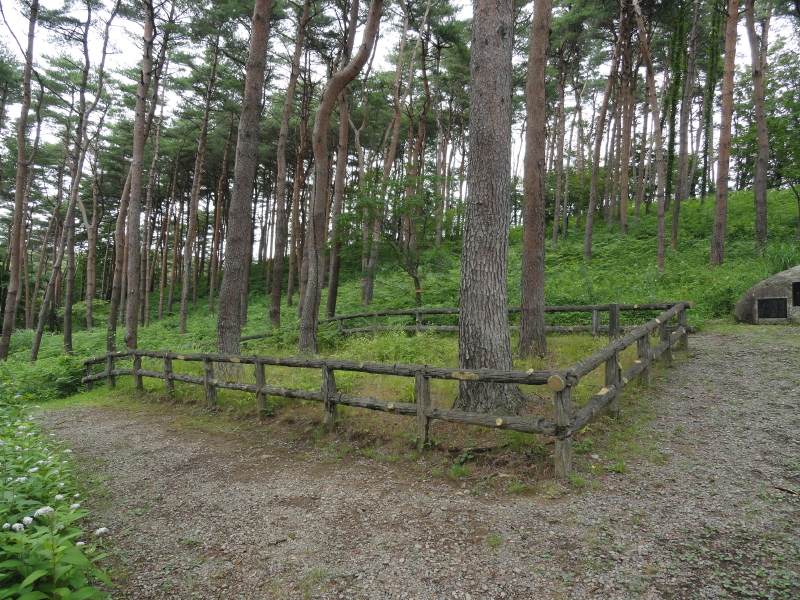 img0010.jpg