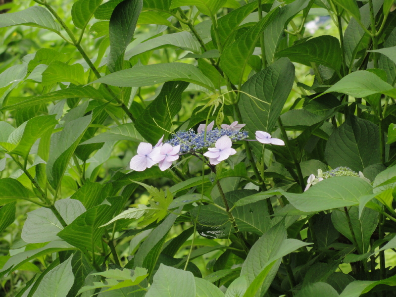 img0019.jpg
