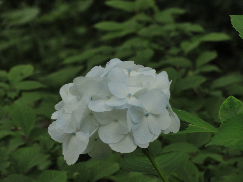 img0028.jpg