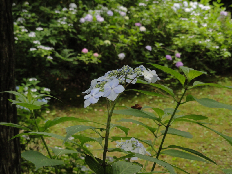 img0037.jpg
