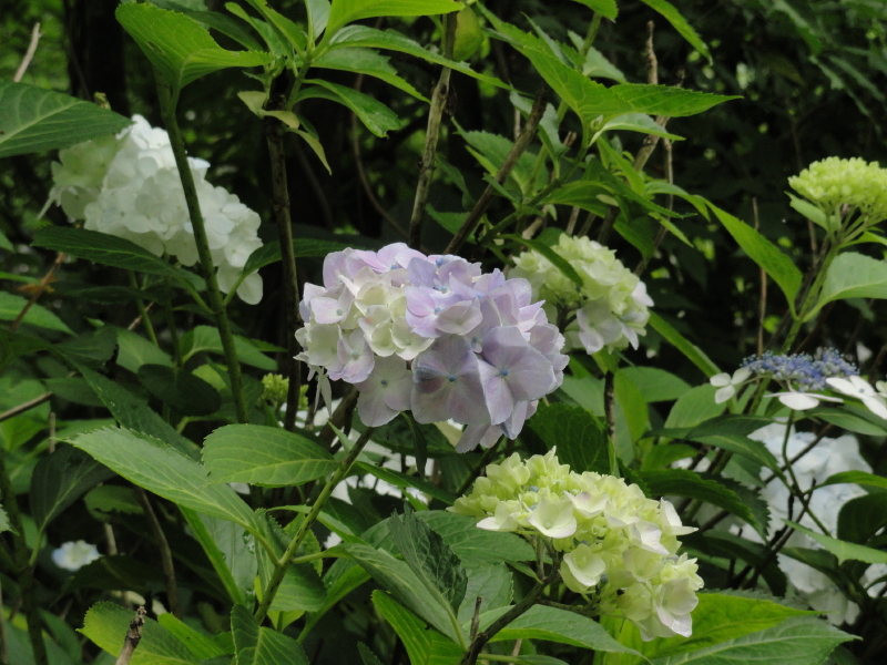 img0042.jpg