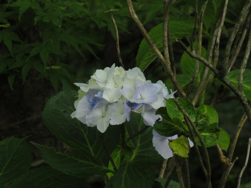 img0059.jpg
