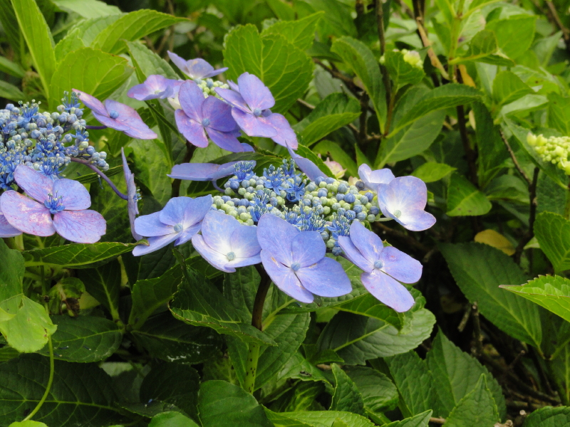 img0070.jpg