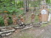 img0001.jpg