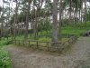 img0010.jpg