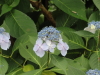 img0013.jpg