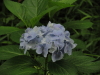 img0029.jpg