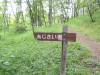 img0030.jpg