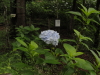img0031.jpg