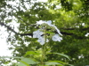 img0038.jpg