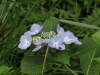 img0047.jpg