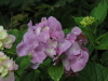 img0048.jpg