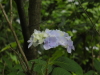 img0052.jpg