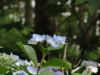 img0073.jpg