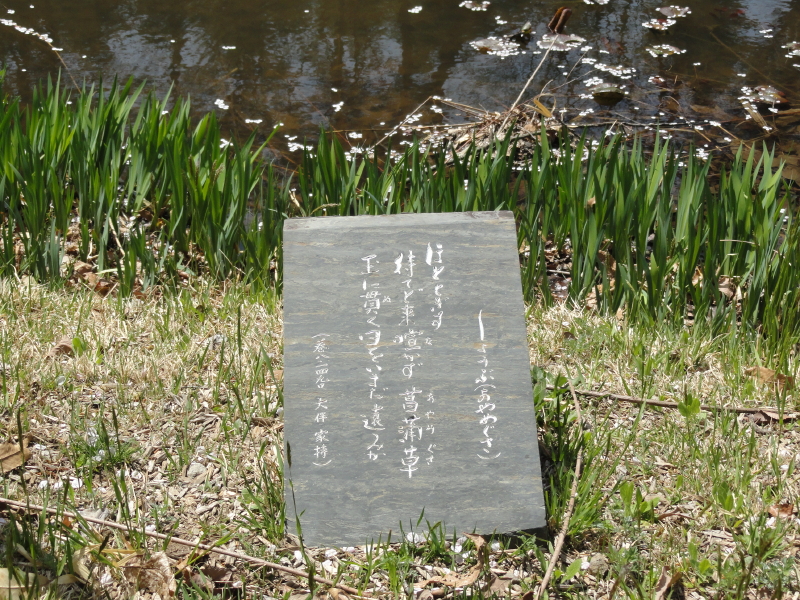 img0006.jpg