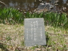 img0006.jpg