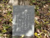 img0013.jpg