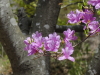 img0016.jpg