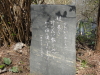 img0019.jpg