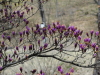 img0020.jpg