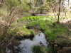 img0023.jpg