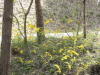 img0024.jpg