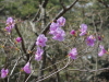img0038.jpg