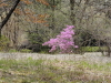 img0047.jpg