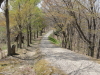 img0048.jpg