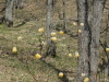 img0056.jpg