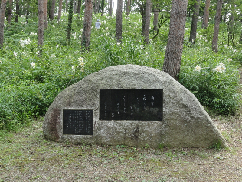 img0014.jpg