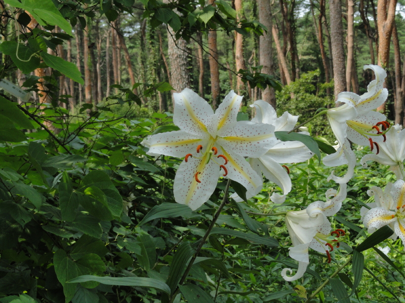 img0023.jpg