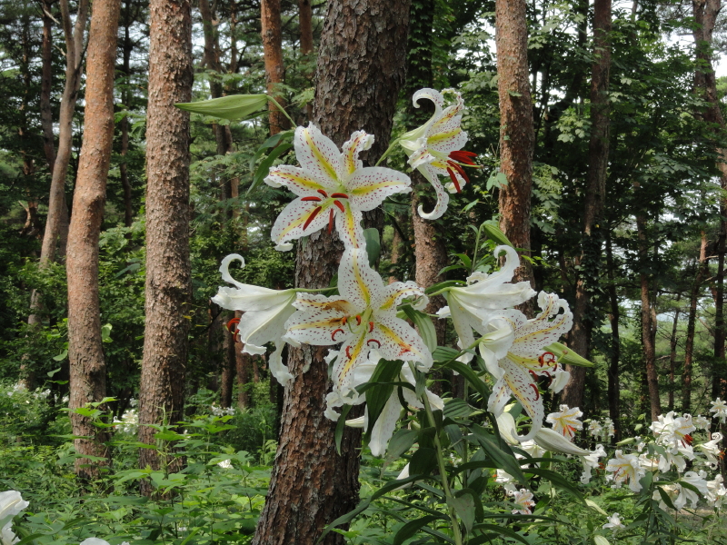 img0026.jpg