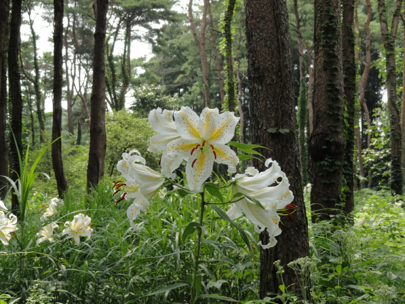 img0028.jpg