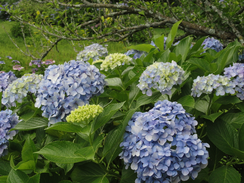 img0092.jpg