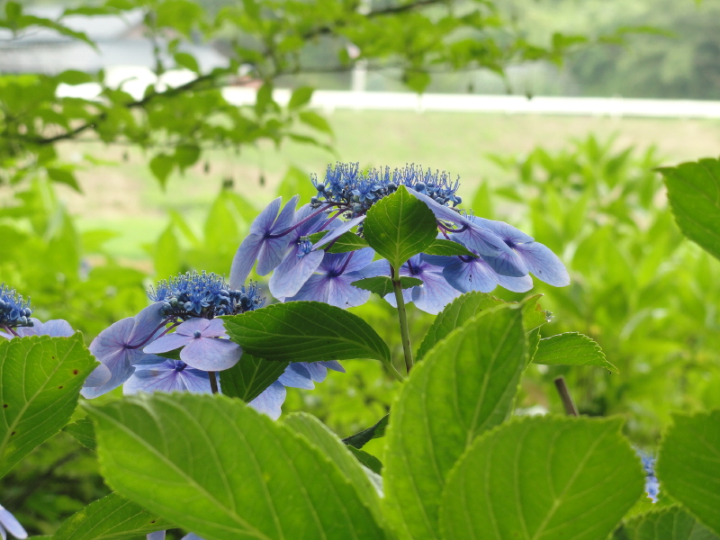 img0095.jpg
